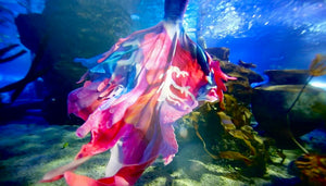 Mertiful Coral Haven Mermaid Tail