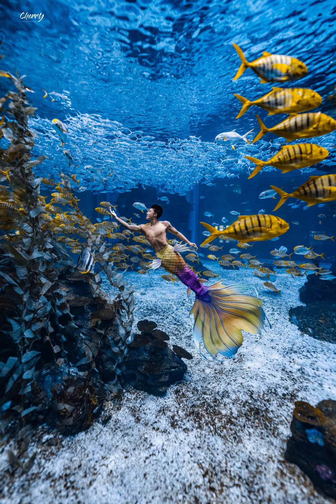 Silas Genesis Silicone Mermaid Tail