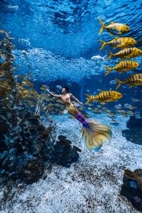 Silas Genesis Silicone Mermaid Tail