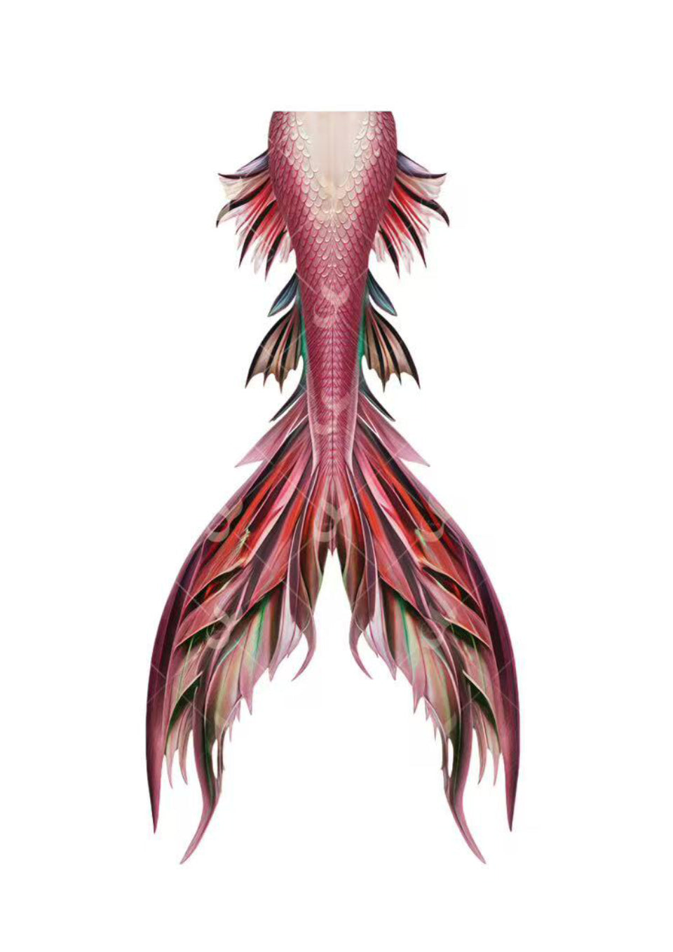 JIYASI Alita Mermaid Tail