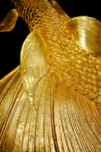 Mermaid tails for adults, cosplay costume, swimmable mermaid tails, mermaid tail swimwear, silicone mermaid tails, realistic mermaid tails, buy mermaid tails, shop mermaid tails, customize mermaid tails, professional mermaid tails, mermaid tails for sale, mermaid diving, mermaid tails for swimming, mermaid tail costume, monofin, mermaid tail customization, handmade mermaid tails, mermaid crown, silicone bra, mermaid headpiece, 