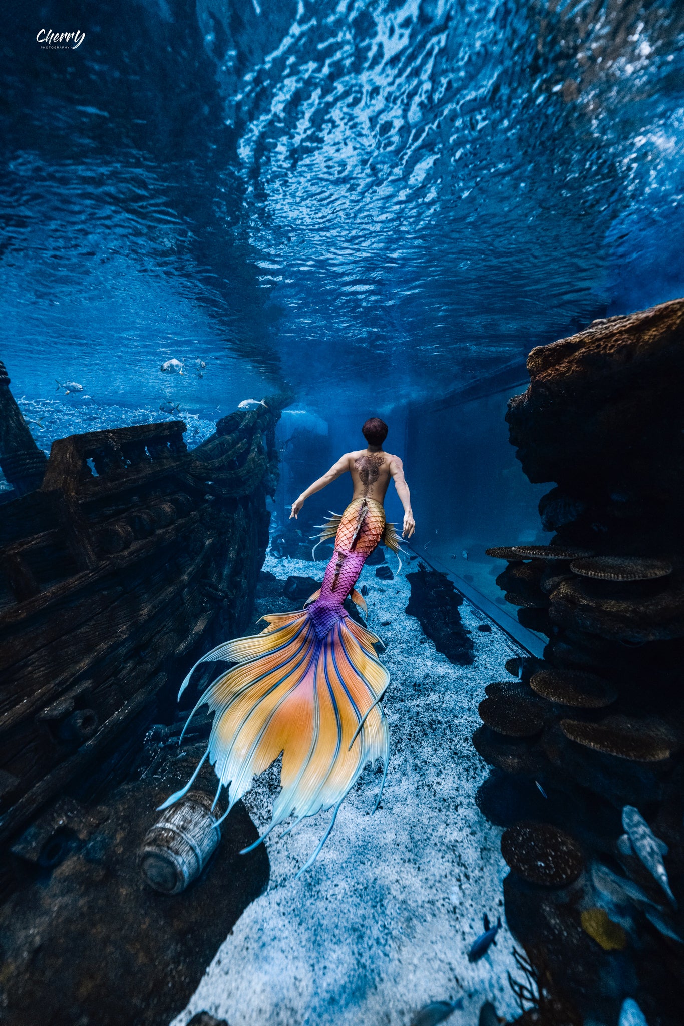 Silas Genesis Silicone Mermaid Tail