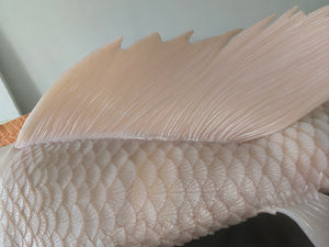 Mermaid tails for adults, cosplay costume, swimmable mermaid tails, mermaid tail swimwear, silicone mermaid tails, realistic mermaid tails, buy mermaid tails, shop mermaid tails, customize mermaid tails, professional mermaid tails, mermaid tails for sale, mermaid diving, mermaid tails for swimming, mermaid tail costume, monofin, mermaid tail customization, handmade mermaid tails, mermaid crown, silicone bra, mermaid headpiece, 