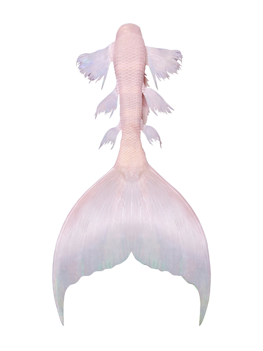 Mermaid tails for adults, cosplay costume, swimmable mermaid tails, mermaid tail swimwear, silicone mermaid tails, realistic mermaid tails, buy mermaid tails, shop mermaid tails, customize mermaid tails, professional mermaid tails, mermaid tails for sale, mermaid diving, mermaid tails for swimming, mermaid tail costume, monofin, mermaid tail customization, handmade mermaid tails, mermaid crown, silicone bra, mermaid headpiece, 