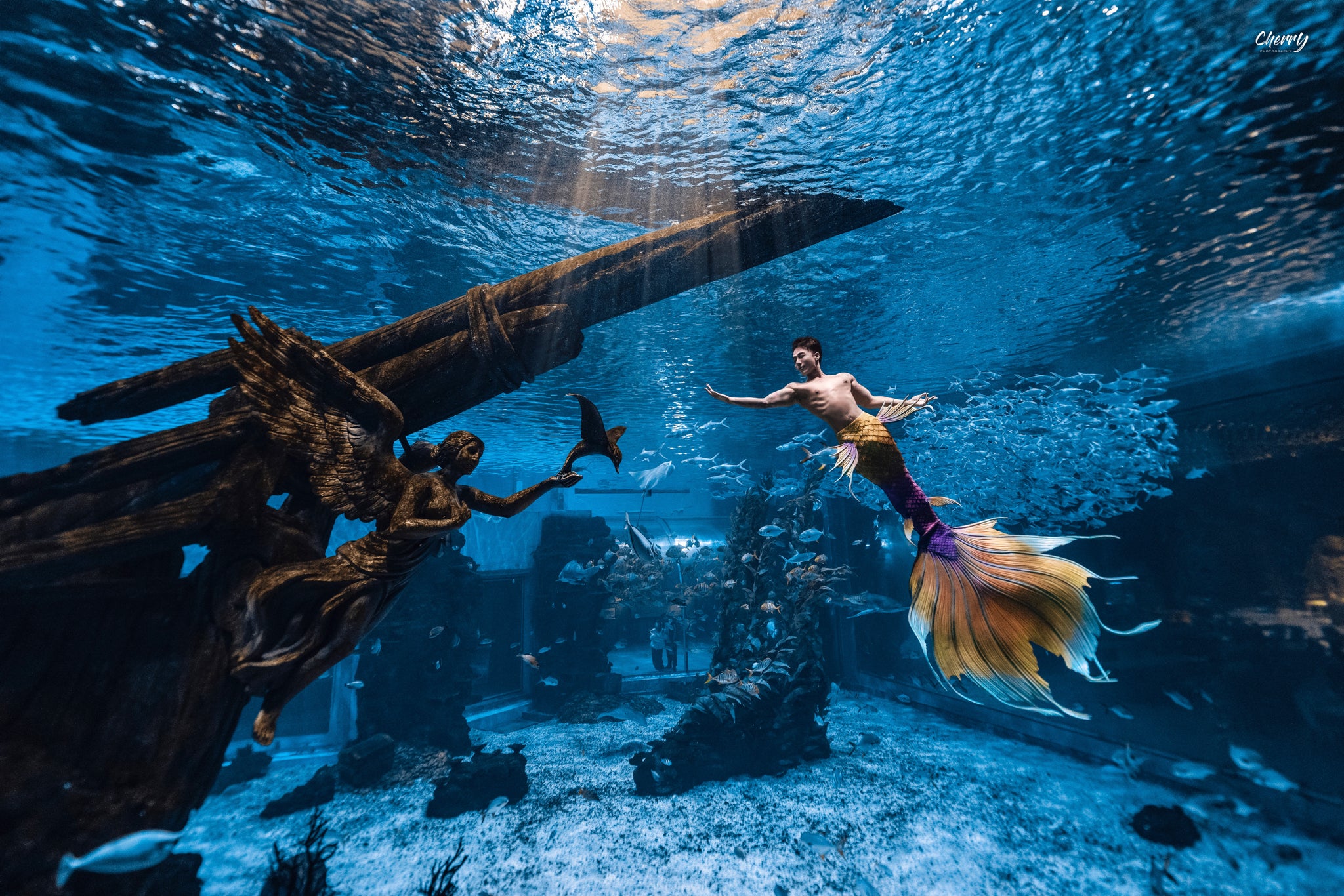 Silas Genesis Silicone Mermaid Tail