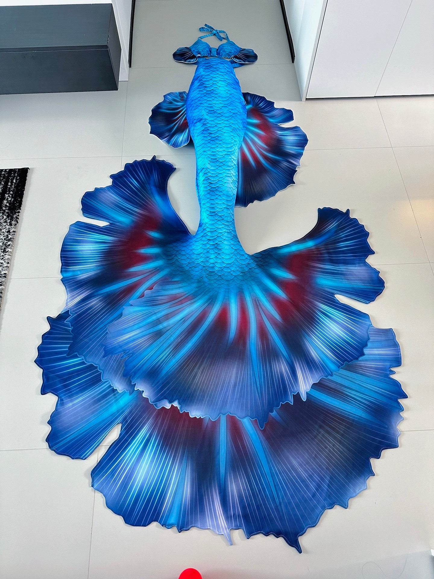 Aurora Crescent Mermaid Tail