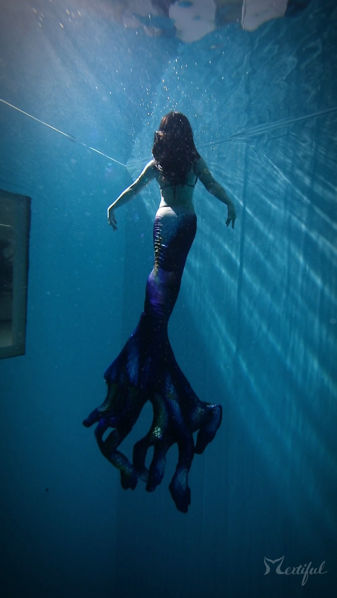 Mertiful Medusa Mermaid Tail