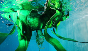 Mertiful Seaweed Dance Mermaid Tail