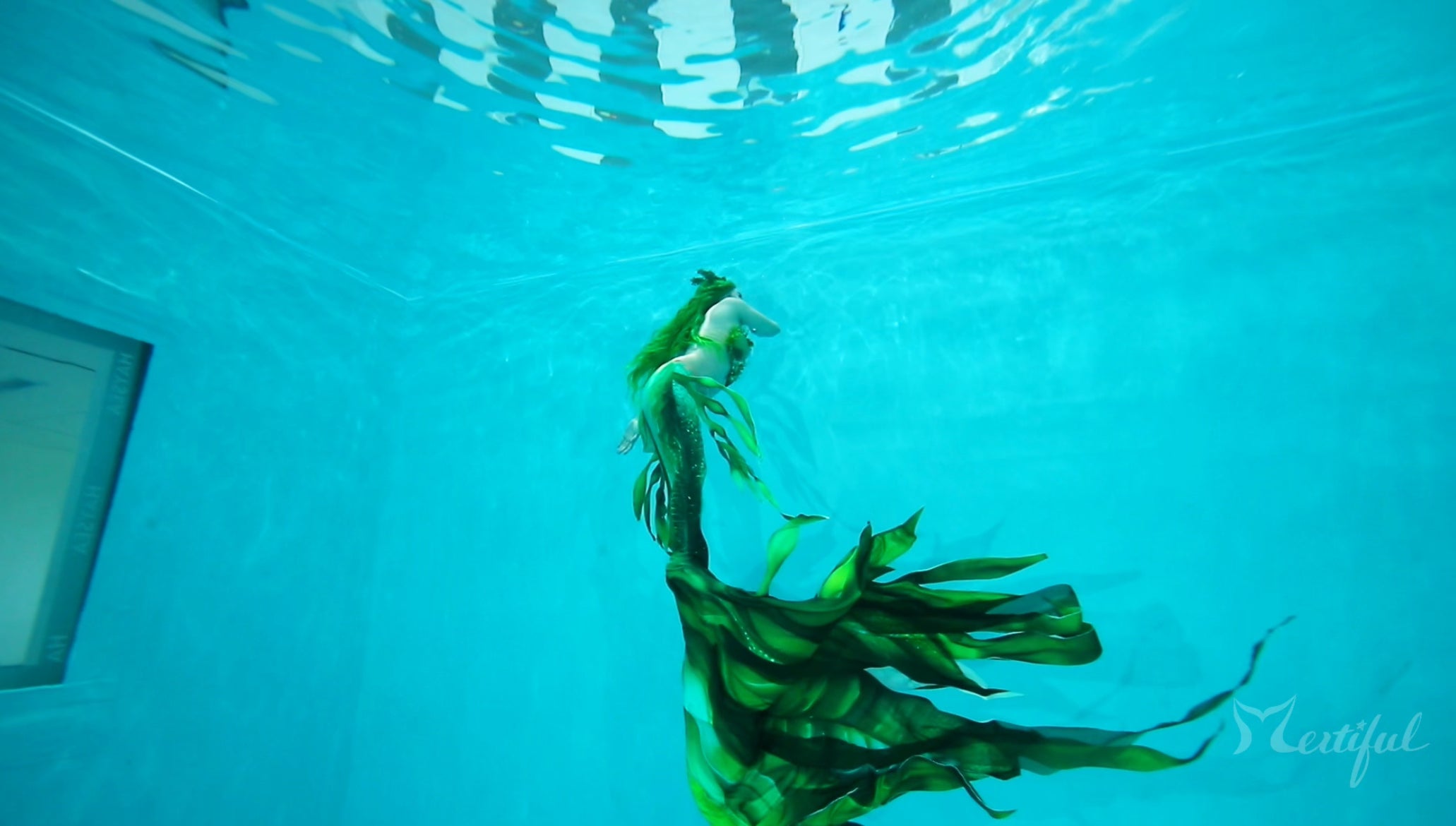 Mermaid Tail, Silicone Mermaid Tail, Realistic Mermaid Tail, Custom Mermaid Tail, Swimmable Mermaid Tail, Professional Mermaid Tail, Handmade Mermaid Tail, Mermaid Tail for Swimming, Fabric Mermaid Tail, Cosplay Mermaid Tail, Mermaid Costume, Mermaid Tail Shop, Mermaid, Mermaid Tail Seller, High-Quality Mermaid Tail, mertiful mermaid, mermaid tails for adults, mermaid tails for kids, buy mermaid tails, mermaid diving, 
