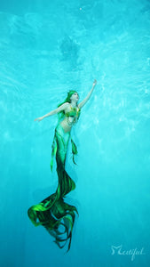 Mermaid Tail, Silicone Mermaid Tail, Realistic Mermaid Tail, Custom Mermaid Tail, Swimmable Mermaid Tail, Professional Mermaid Tail, Handmade Mermaid Tail, Mermaid Tail for Swimming, Fabric Mermaid Tail, Cosplay Mermaid Tail, Mermaid Costume, Mermaid Tail Shop, Mermaid, Mermaid Tail Seller, High-Quality Mermaid Tail, mertiful mermaid, mermaid tails for adults, mermaid tails for kids, buy mermaid tails, mermaid diving, 
