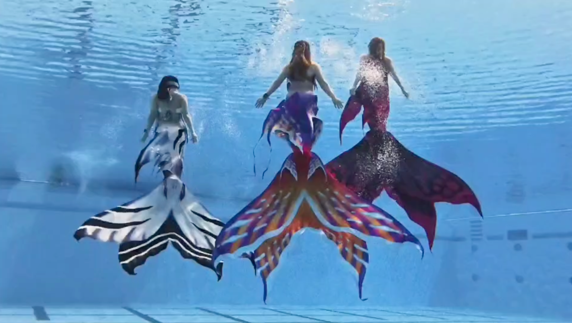 Mertiful Topical Splash Mermaid Tail No.15