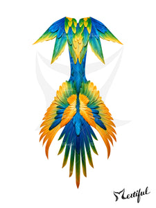 Mertiful Scarlet Macaw Mermaid Tail