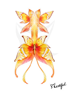 Mertiful Butterfly Dream Mermaid Tail