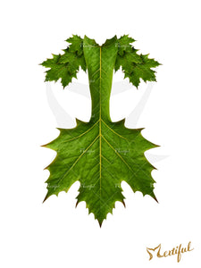 Mertiful Fallen Leaves Mermaid Tail