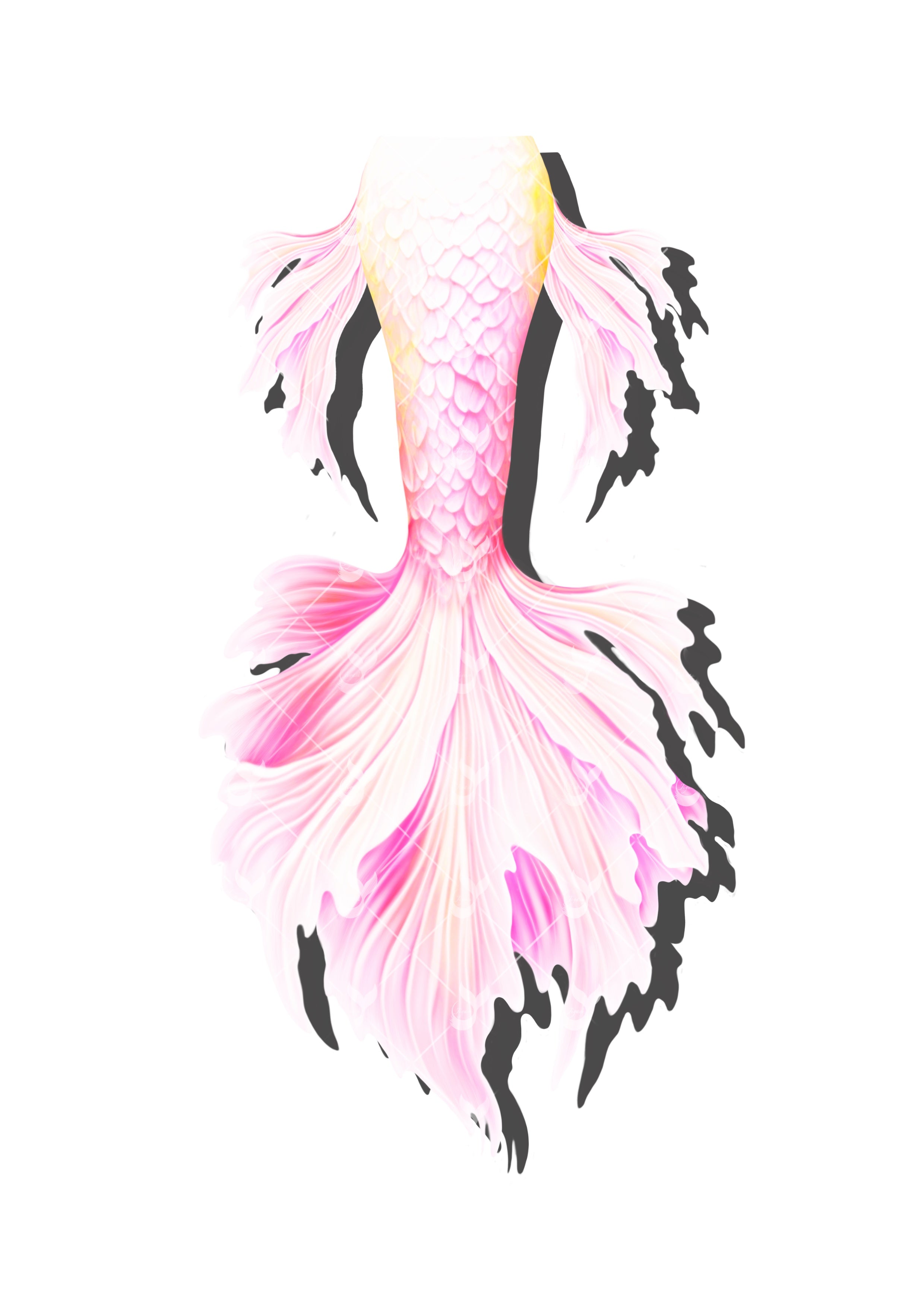Mermaid tails for adults, cosplay costume, swimmable mermaid tails, mermaid tail swimwear, beach swimming, fabric mermaid tail, realistic mermaid tails, buy mermaid tails, shop mermaid tails, how to be a mermaid, transform to a mermaid, customize mermaid tails, professional mermaid tails, mermaid tails for sale, mermaid diving, mermaid tails for swimming, mermaid tail costume, monofin, mermaid tail customization, handmade mermaid tails, cheap mermaid tail,
