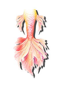 Mermaid tails for adults, cosplay costume, swimmable mermaid tails, mermaid tail swimwear, beach swimming, fabric mermaid tail, realistic mermaid tails, buy mermaid tails, shop mermaid tails, how to be a mermaid, transform to a mermaid, customize mermaid tails, professional mermaid tails, mermaid tails for sale, mermaid diving, mermaid tails for swimming, mermaid tail costume, monofin, mermaid tail customization, handmade mermaid tails, cheap mermaid tail,

