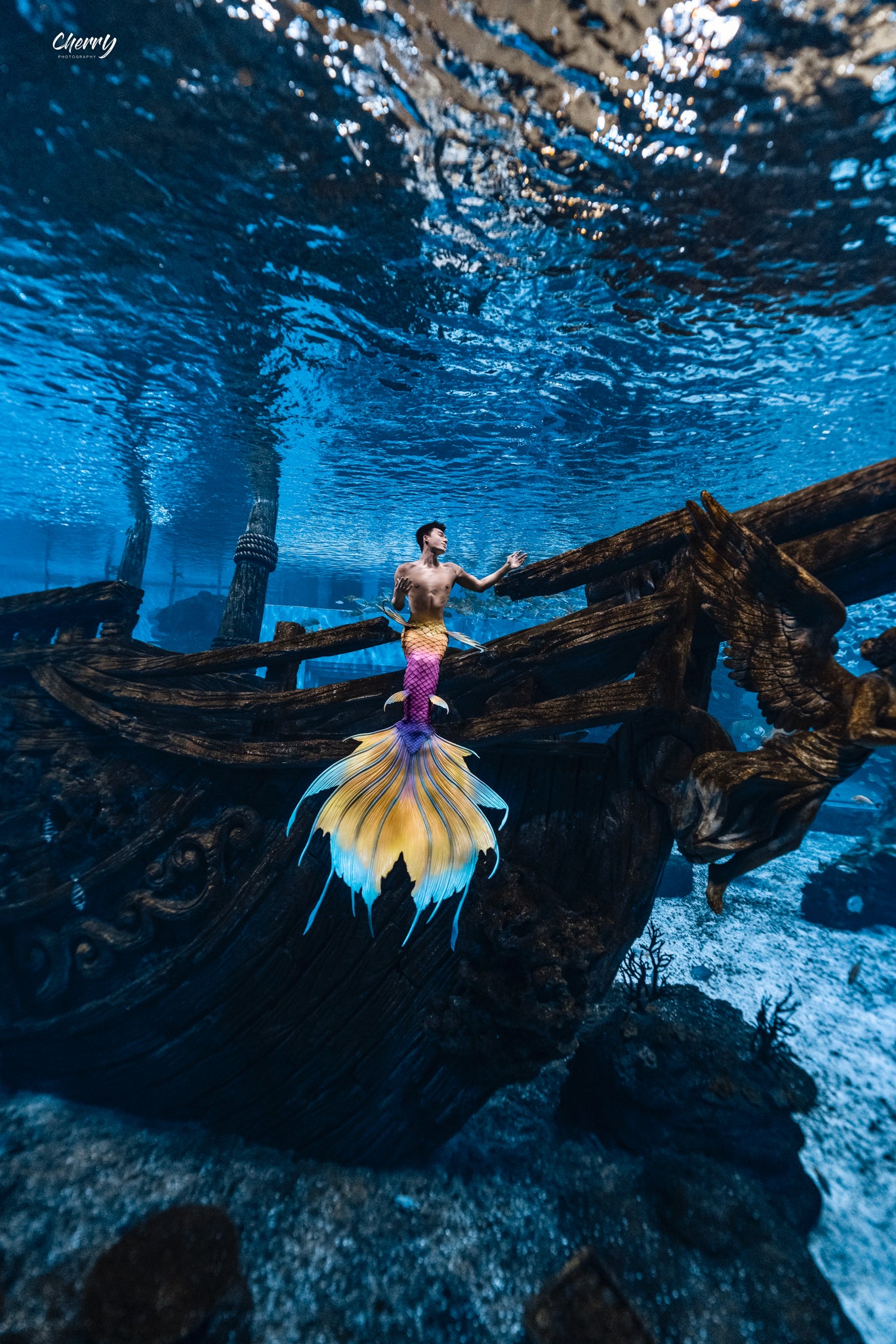 Silas Genesis Silicone Mermaid Tail