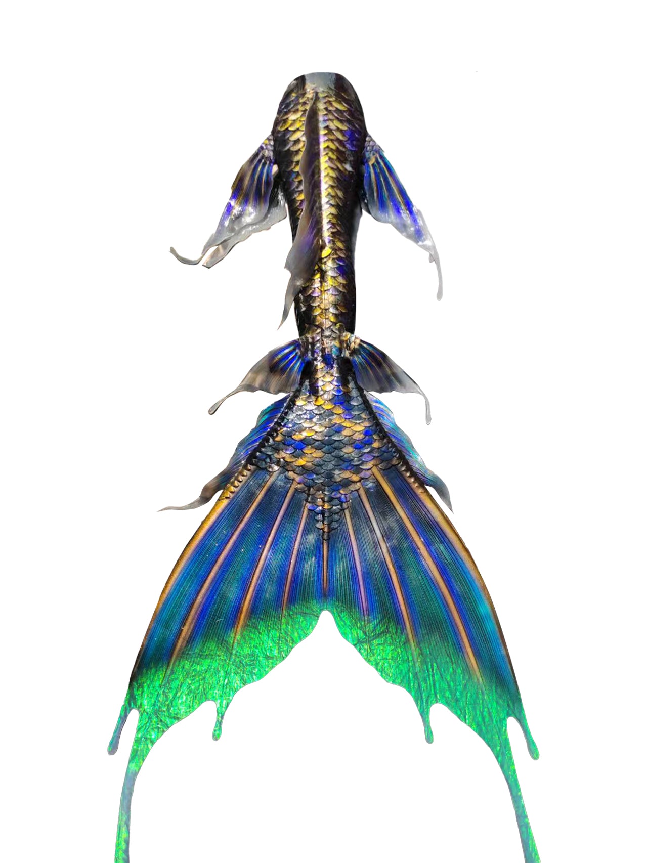 Siren’s Tear Silicone Mermaid Tail