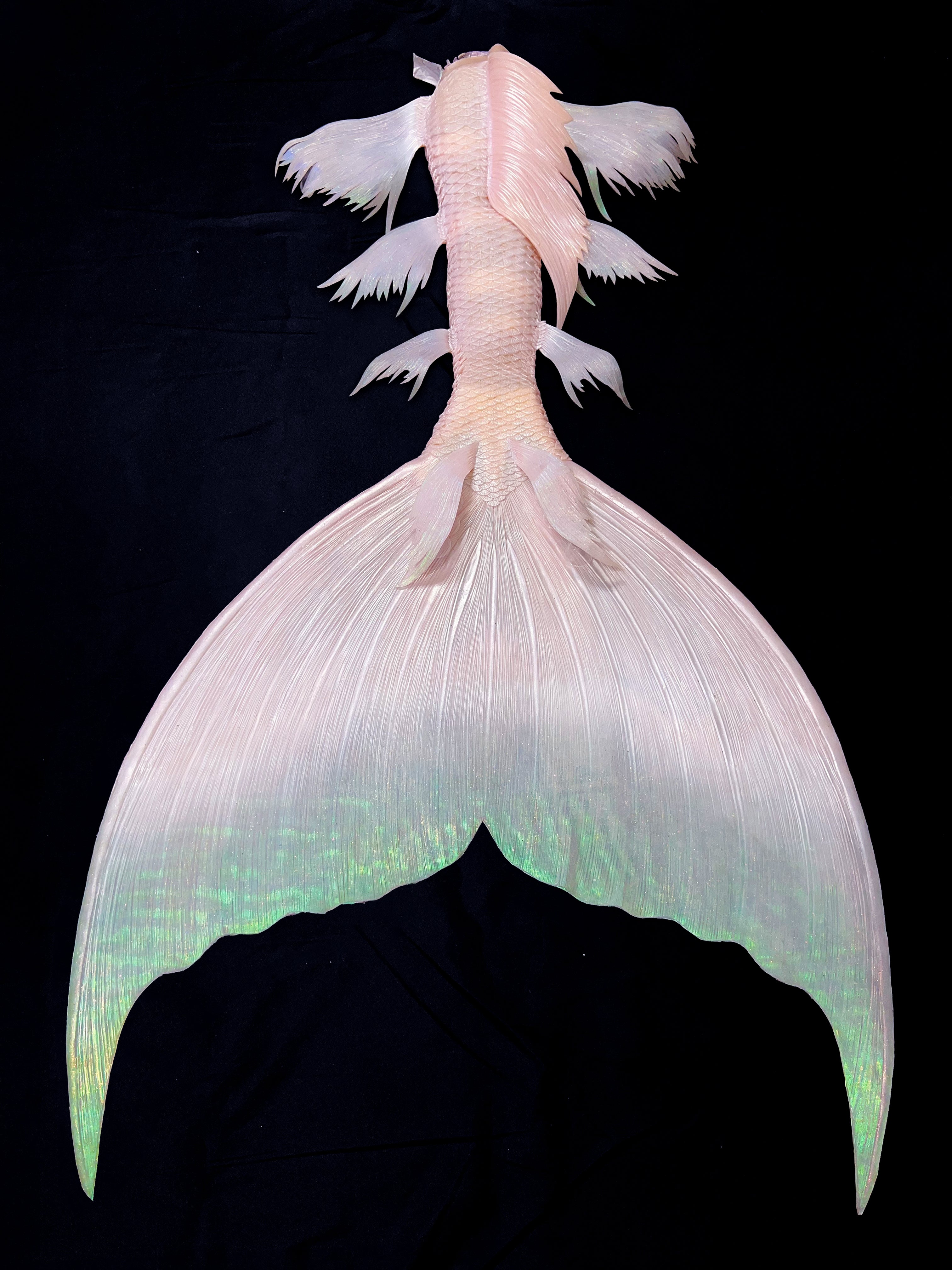 Mermaid tails for adults, cosplay costume, swimmable mermaid tails, mermaid tail swimwear, silicone mermaid tails, realistic mermaid tails, buy mermaid tails, shop mermaid tails, customize mermaid tails, professional mermaid tails, mermaid tails for sale, mermaid diving, mermaid tails for swimming, mermaid tail costume, monofin, mermaid tail customization, handmade mermaid tails, mermaid crown, silicone bra, mermaid headpiece, 