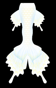 Mermaid tails for adults, cosplay costume, swimmable mermaid tails, mermaid tail swimwear, beach swimming, fabric mermaid tails, realistic mermaid tails, buy mermaid tails, shop mermaid tails, how to be a mermaid, transform to a mermaid, customize mermaid tails, professional mermaid tails, mermaid tails for sale